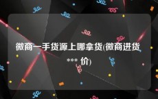 微商一手货源上哪拿货(微商进货 *** 价)