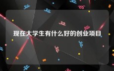 现在大学生有什么好的创业项目