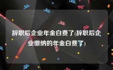 辞职后企业年金白费了(辞职后企业缴纳的年金白费了)