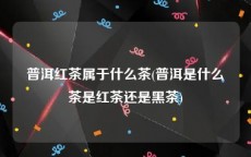 普洱红茶属于什么茶(普洱是什么茶是红茶还是黑茶)