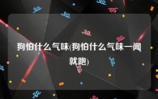 狗怕什么气味(狗怕什么气味一闻就跑)