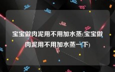 宝宝做肉泥用不用加水蒸(宝宝做肉泥用不用加水蒸一下)