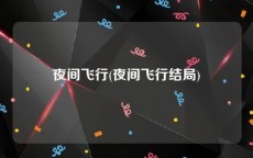 夜间飞行(夜间飞行结局)