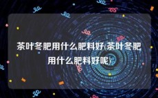 茶叶冬肥用什么肥料好(茶叶冬肥用什么肥料好呢)