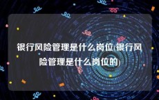 银行风险管理是什么岗位(银行风险管理是什么岗位的)