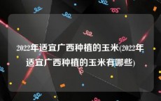 2022年适宜广西种植的玉米(2022年适宜广西种植的玉米有哪些)