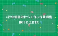 it行业销售做什么工作(it行业销售做什么工作好)