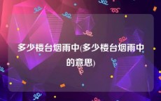 多少楼台烟雨中(多少楼台烟雨中的意思)
