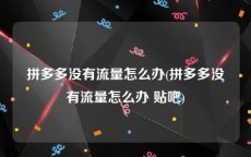 拼多多没有流量怎么办(拼多多没有流量怎么办 贴吧)