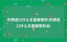 巴西进口什么生意前景好(巴西进口什么生意前景好点)