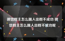 微信群主怎么踢人出群不成功 微信群主怎么踢人出群不成功呢