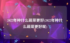 2022年种什么蔬菜更好(2022年种什么蔬菜更好呢)