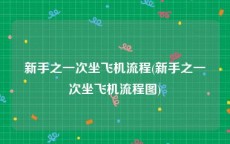 新手之一次坐飞机流程(新手之一次坐飞机流程图)