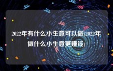 2022年有什么小生意可以做(2022年做什么小生意更赚钱)