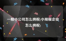 一般小公司怎么纳税(小规模企业怎么纳税)