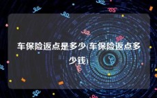 车保险返点是多少(车保险返点多少钱)