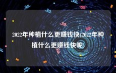 2022年种植什么更赚钱快(2022年种植什么更赚钱快呢)