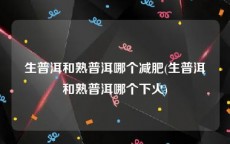 生普洱和熟普洱哪个减肥(生普洱和熟普洱哪个下火)