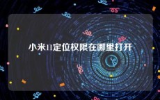 小米11定位权限在哪里打开