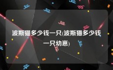 波斯猫多少钱一只(波斯猫多少钱一只幼崽)