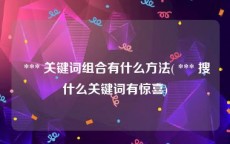  *** 关键词组合有什么方法( *** 搜什么关键词有惊喜)