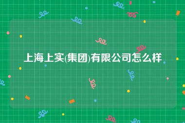 上海上实(集团)有限公司怎么样