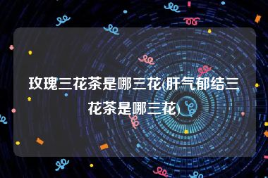 玫瑰三花茶是哪三花(肝气郁结三花茶是哪三花)