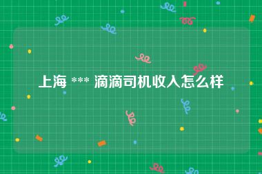 上海 *** 滴滴司机收入怎么样