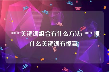 *** 关键词组合有什么方法( *** 搜什么关键词有惊喜)