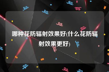 哪种花防辐射效果好(什么花防辐射效果更好)