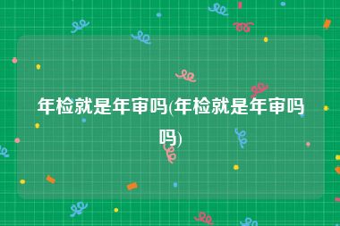 年检就是年审吗(年检就是年审吗吗)