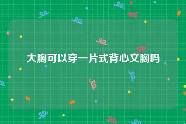 大胸可以穿一片式背心文胸吗