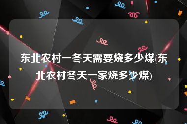 东北农村一冬天需要烧多少煤(东北农村冬天一家烧多少煤)
