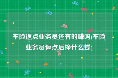 车险返点业务员还有的赚吗(车险业务员返点后挣什么钱)