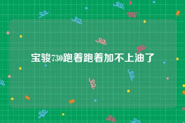 宝骏730跑着跑着加不上油了