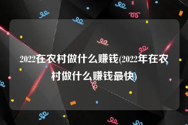 2022在农村做什么赚钱(2022年在农村做什么赚钱最快)