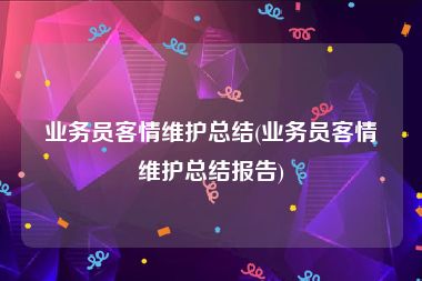 业务员客情维护总结(业务员客情维护总结报告)