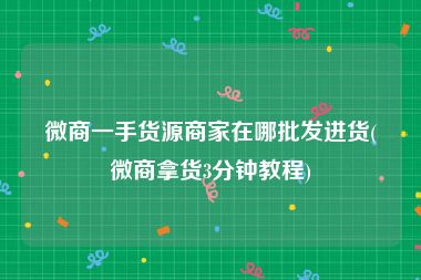 微商一手货源商家在哪批发进货(微商拿货3分钟教程)