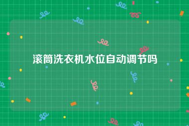 滚筒洗衣机水位自动调节吗