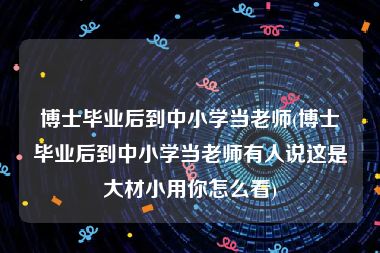 博士毕业后到中小学当老师(博士毕业后到中小学当老师有人说这是大材小用你怎么看)