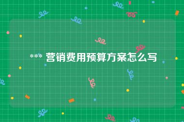  *** 营销费用预算方案怎么写