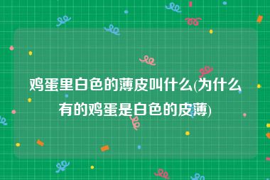 鸡蛋里白色的薄皮叫什么(为什么有的鸡蛋是白色的皮薄)