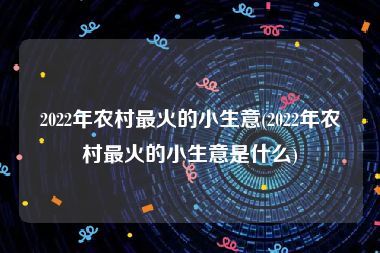 2022年农村最火的小生意(2022年农村最火的小生意是什么)