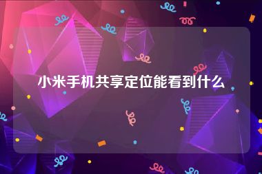 小米手机共享定位能看到什么
