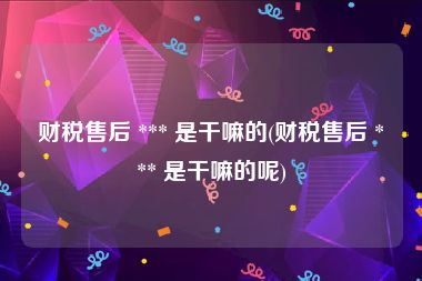 财税售后 *** 是干嘛的(财税售后 *** 是干嘛的呢)