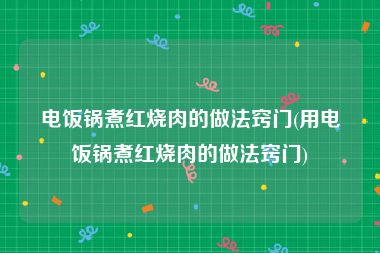 电饭锅煮红烧肉的做法窍门(用电饭锅煮红烧肉的做法窍门)