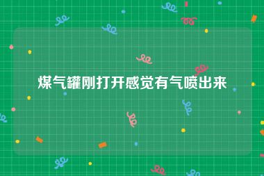 煤气罐刚打开感觉有气喷出来