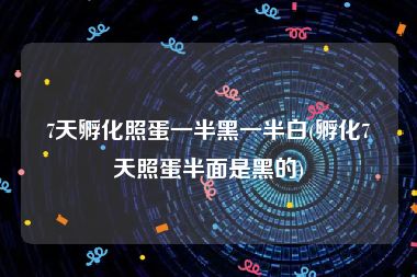 7天孵化照蛋一半黑一半白(孵化7天照蛋半面是黑的)