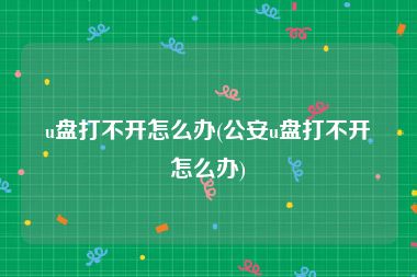 u盘打不开怎么办(公安u盘打不开怎么办)