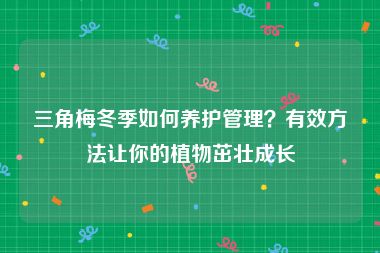 三角梅冬季如何养护管理？有效方法让你的植物茁壮成长